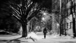 ”Miltä kuulostaisi ulkonaliikkumiskielto miehille ilta-aikaan?” – 15-vuotiaan Vendin surullisesta kohtalosta syntyi kirja