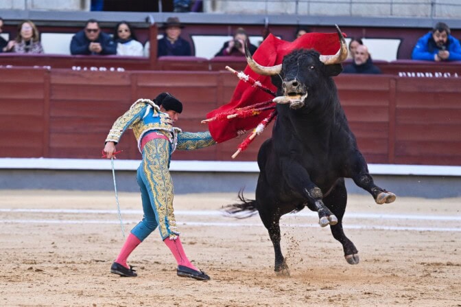 Sonni tappoi entisen matadorin kesken härkätaisteluvalmistelujen