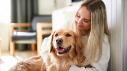 Eläintutkimus: Joka viides koira kärsii tästä