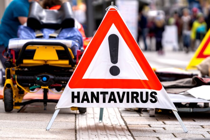 THL: Tällaiset ovat hantaviruksen riskit Euroopassa